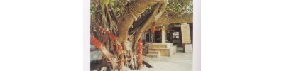 066. திருநைமிசாரண்யம்